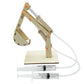 DIY Science Toys Children Educational